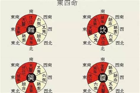 东四命|东四命西四命速查表 命卦对照表 (1930年~2043年)